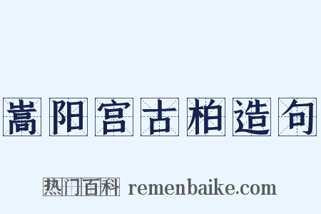 嵩阳宫古柏造句是什么意思的图片